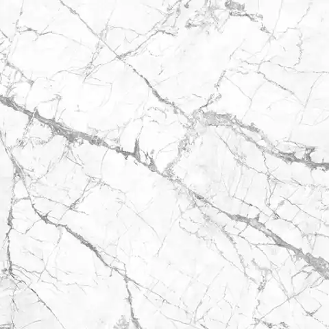 Invisible White