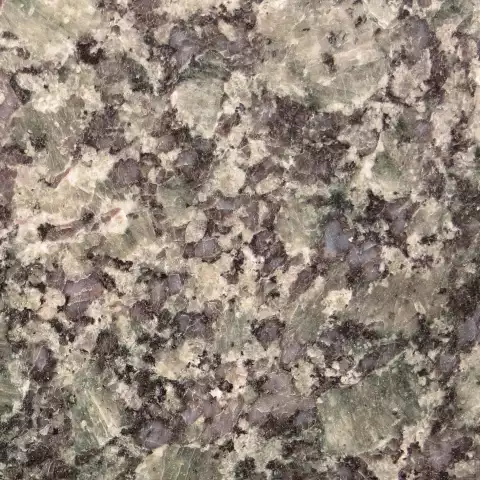 Forest Blue