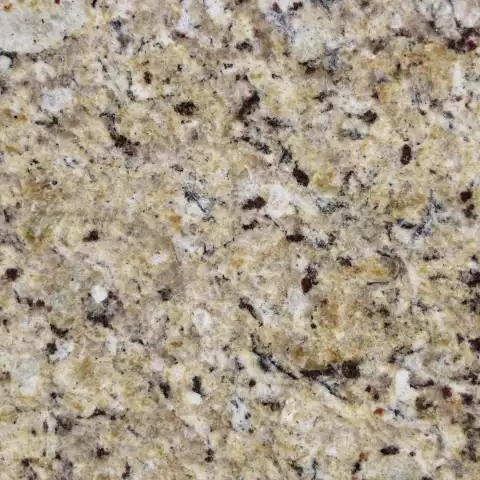 New Venetian